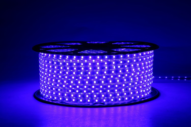 4040-60D-6MM Purple LED Strip Lights