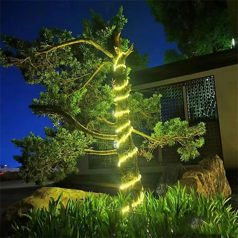 LED Strips Lights manufacturer
