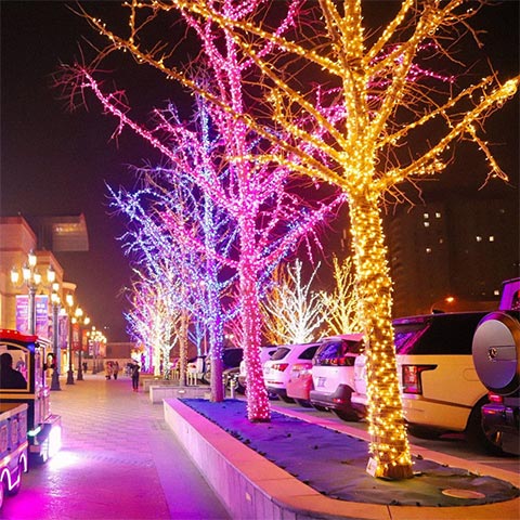 LED Strips Lights manufacturer