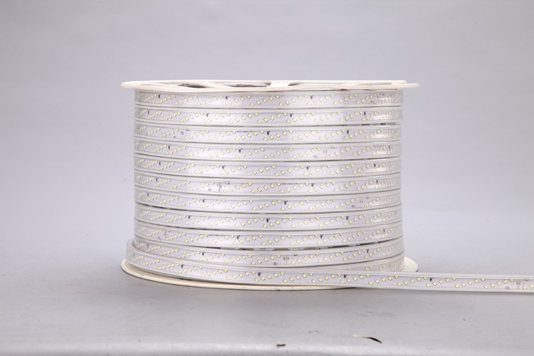 2025 180D 12MM White Light Strip