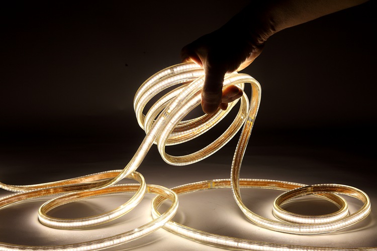 2025 240D 8MM Warm White Light Strip