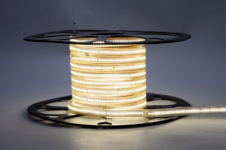 2025 240D 8MM Warm White Light Strip