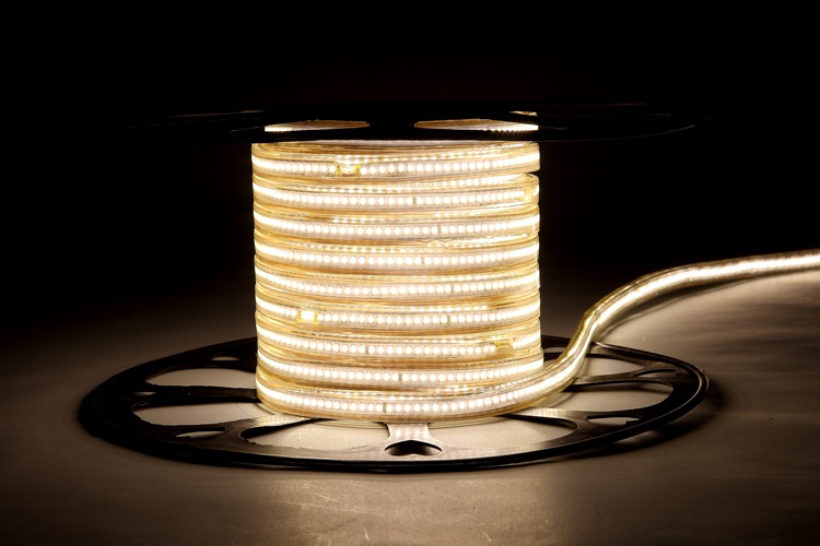 2025 240D 8MM Warm White Light Strip
