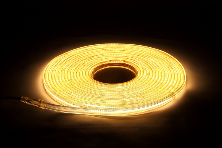 2025 120D 6MM Golden Light Strip