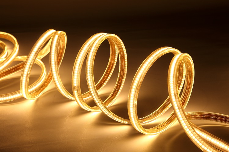 2025 120D 6MM Golden Light Strip
