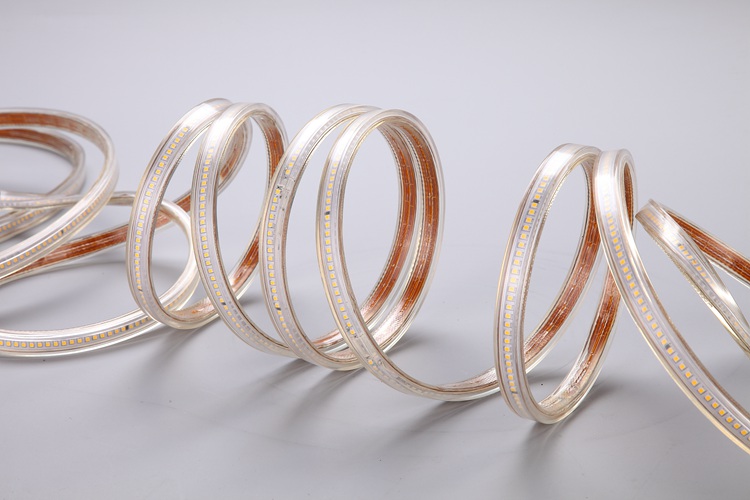 2025 120D 6MM Golden Light Strip