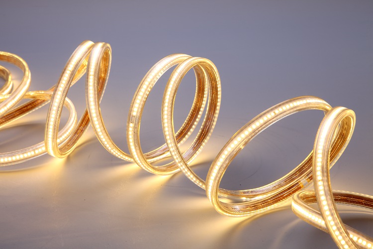 2025 120D 6MM Golden Light Strip