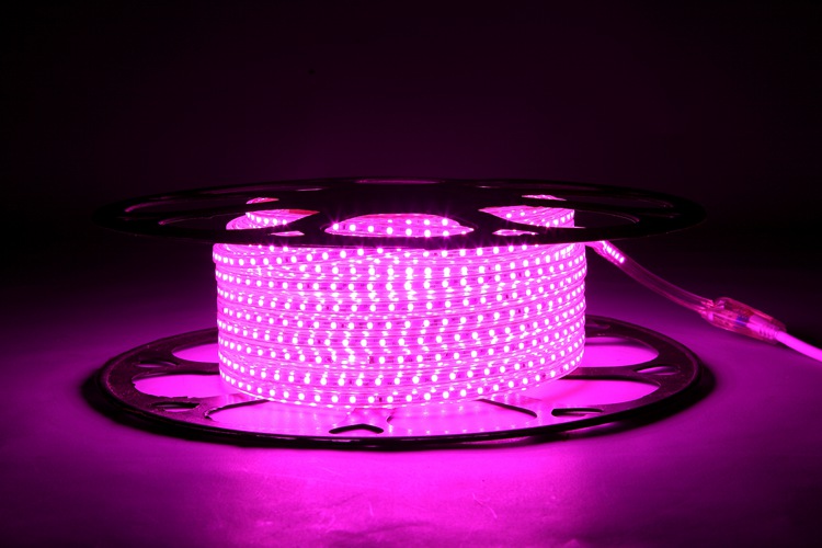 Pink Light Strip