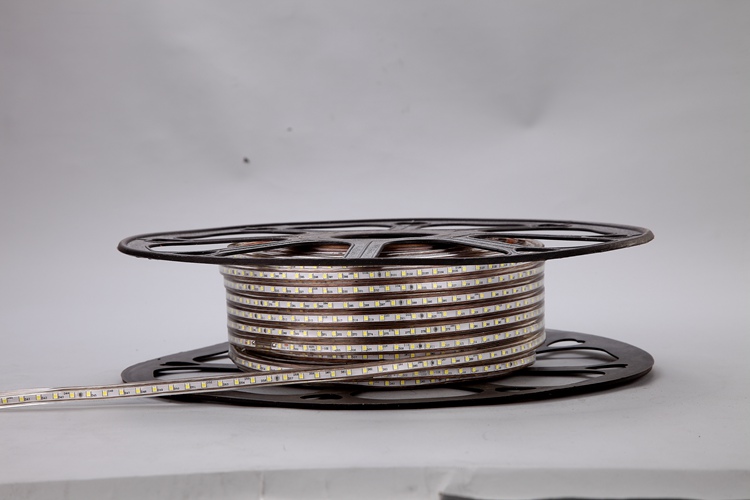 2025-120D-4MM White Light Strip