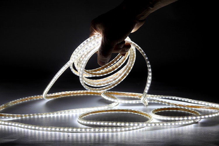 2025-120D-4MM White Light Strip