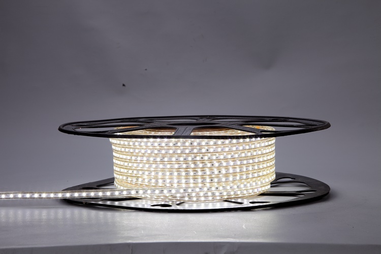 2025-120D-4MM White Light Strip