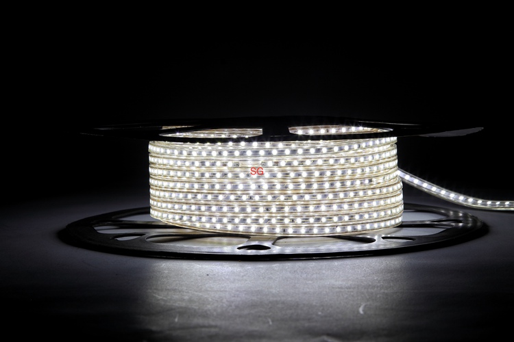 2025-120D-4MM White Light Strip