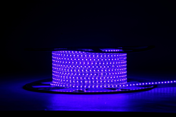 2025 120D 4MM Blue Light Strip