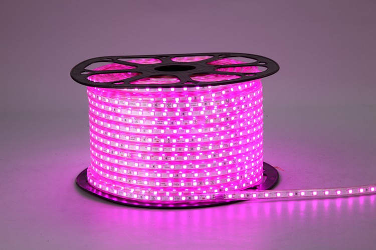 Lampu Jalur Pink Sky Led
