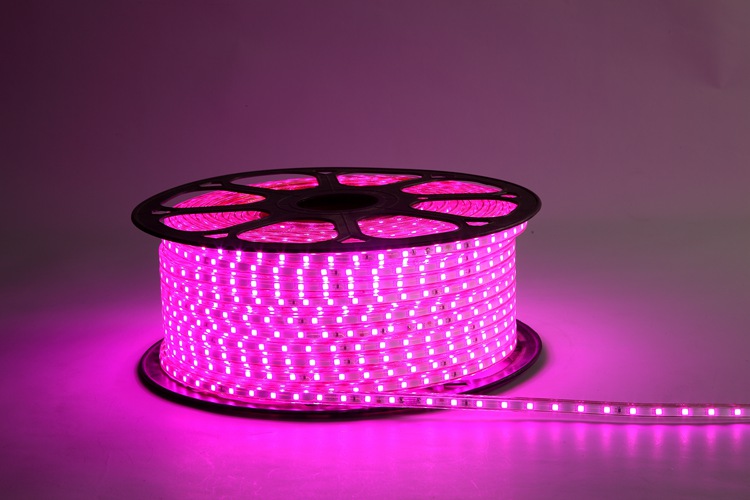 Pink Led Rope Lights