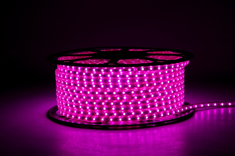 Pink Led Rope Lights