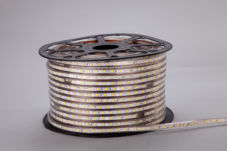 5050 60D 8MM Strip Cahaya Emas