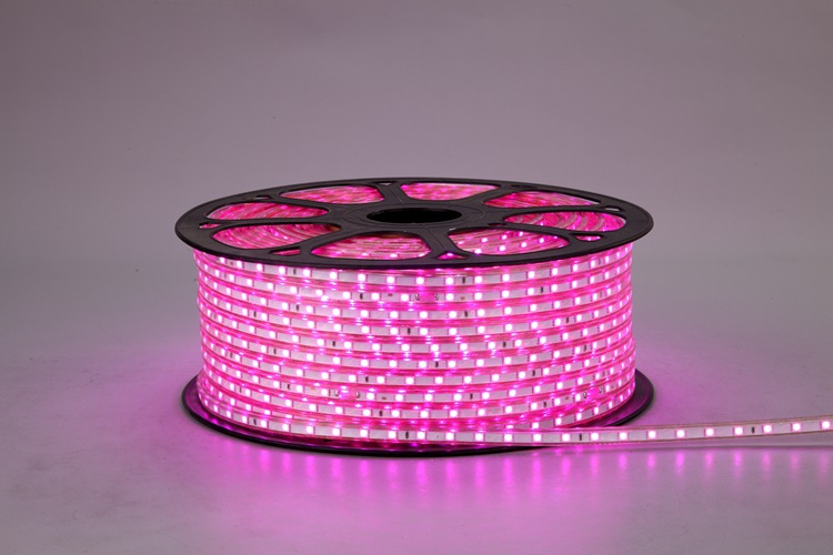 Strip Light Pink