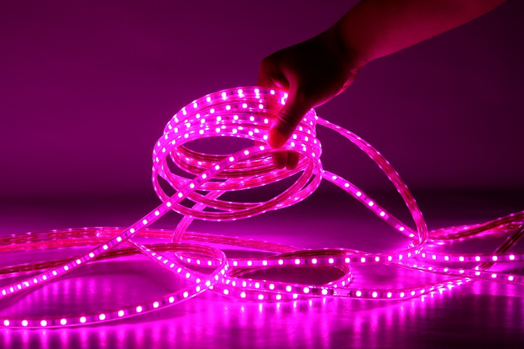 Strip Light Pink