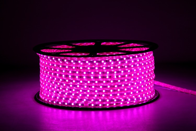 Strip Light Pink