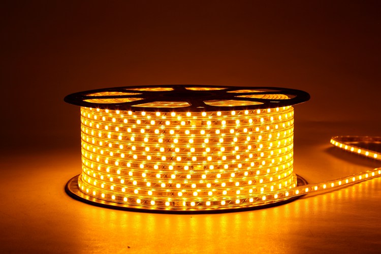 5050 60D 6MM Golden Light Strip