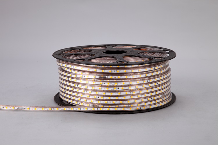 5050 60d 6 mm cinturón de luz blanca cálida