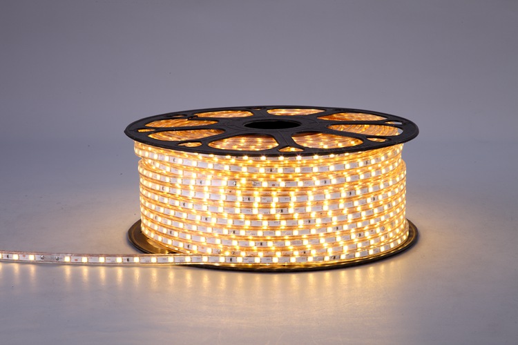 5050 60d 6 mm cinturón de luz blanca cálida