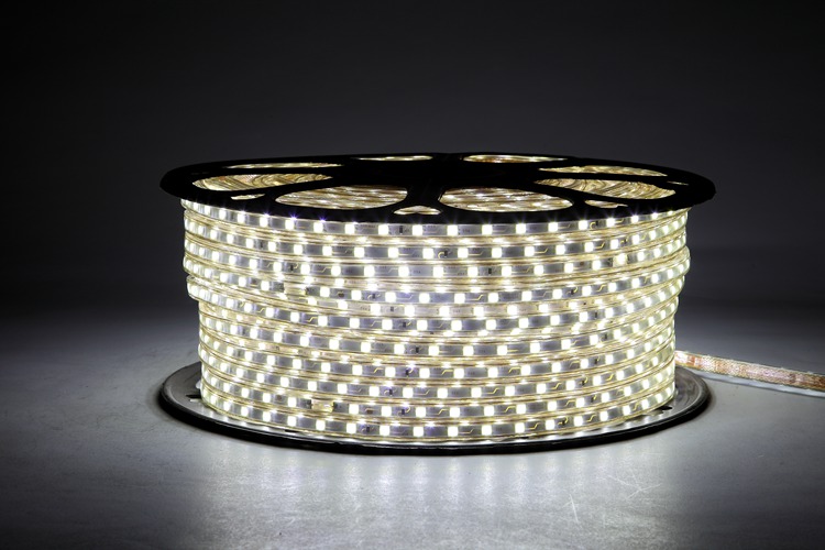 5050 60D 6MM White Light Strip