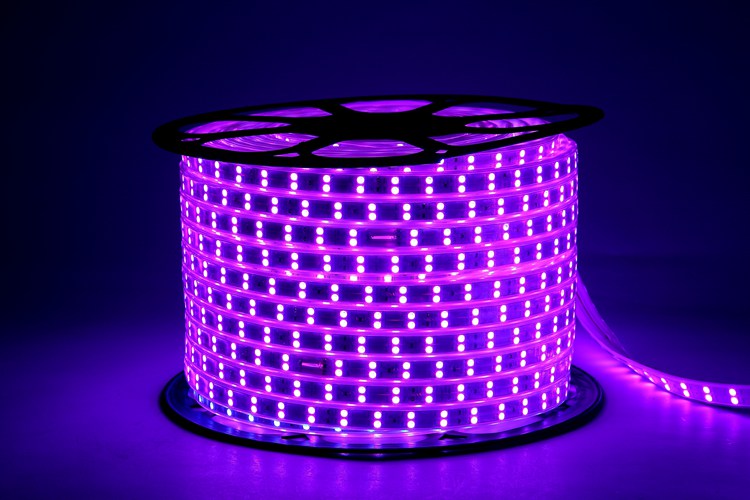 5050 96D 12MM Purple Light Strip