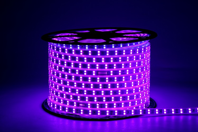 5050 96D 12MM Purple Light Strip