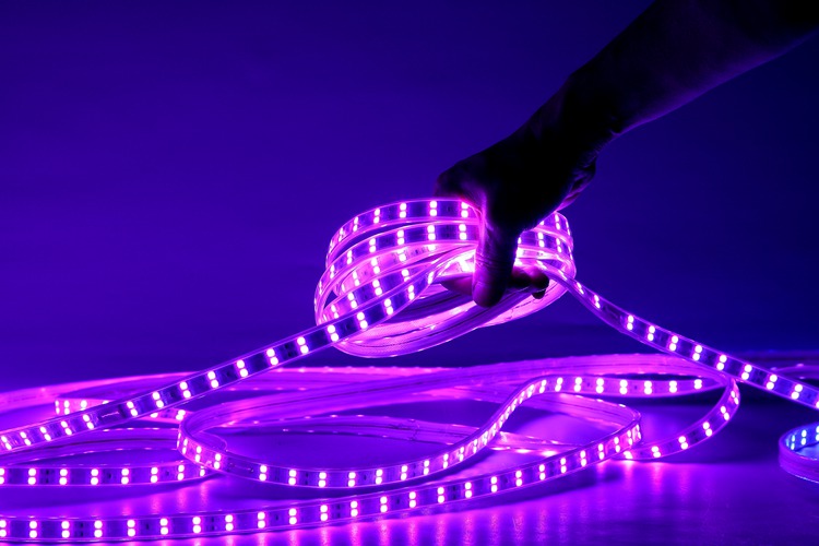 5050 96D 12MM Purple Light Strip