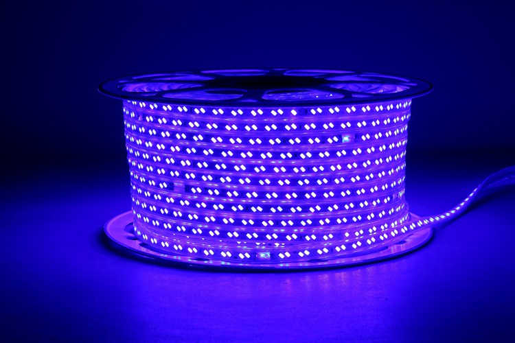 5730 20D 10MM Blue Light Strip