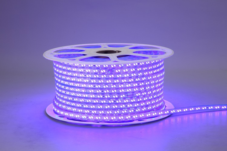 5730 20D 10MM Blue Light Strip