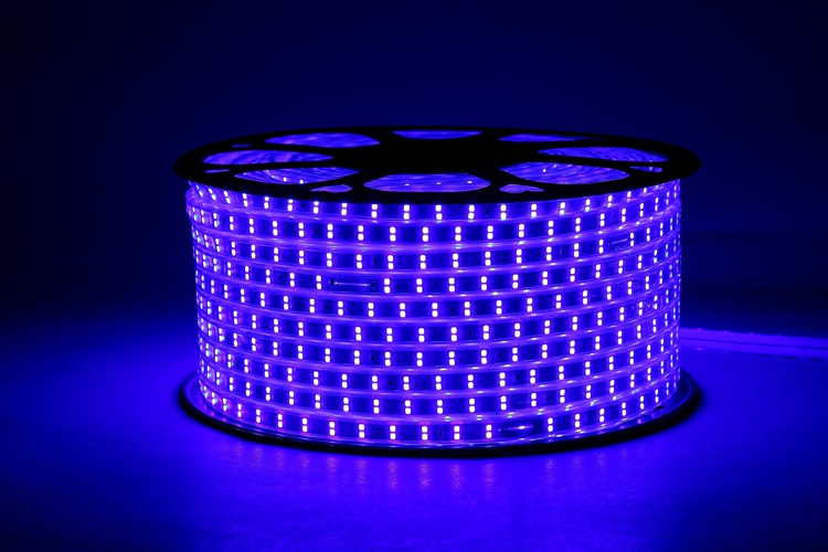 2835 120D 10MM Purple Strip Light