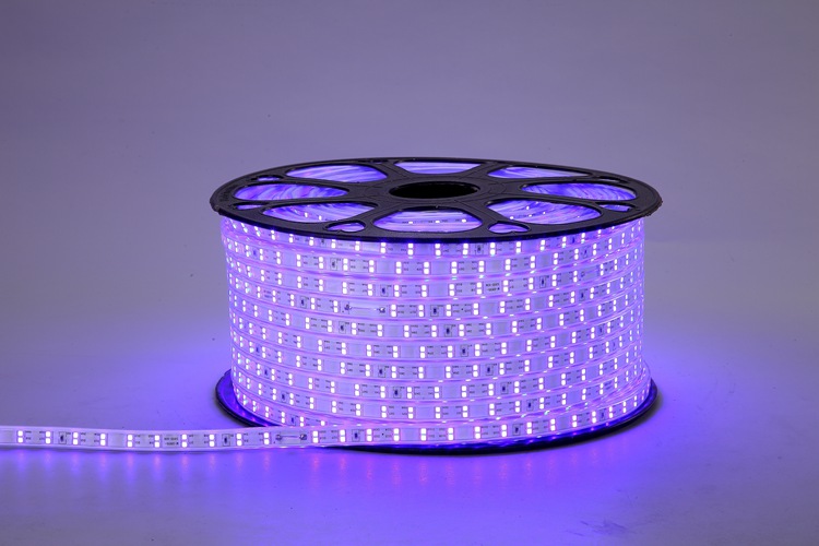 2835 120D 10MM Purple Strip Light