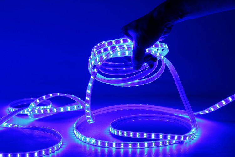 2835 120D 10MM Purple Strip Light