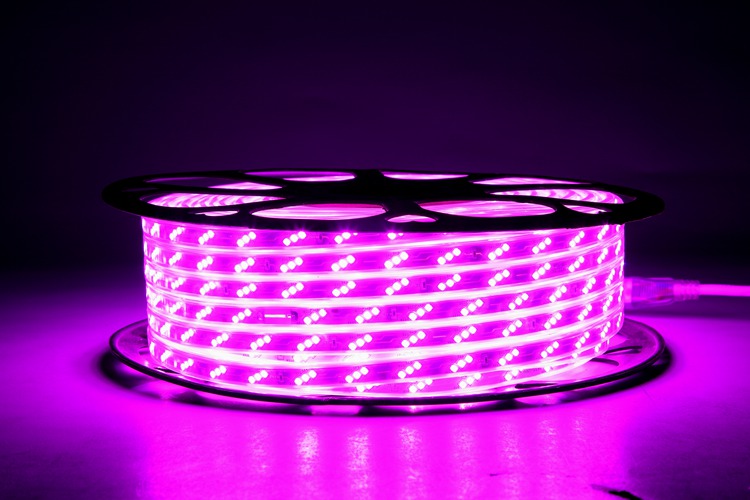 Pink Neon Rope Light