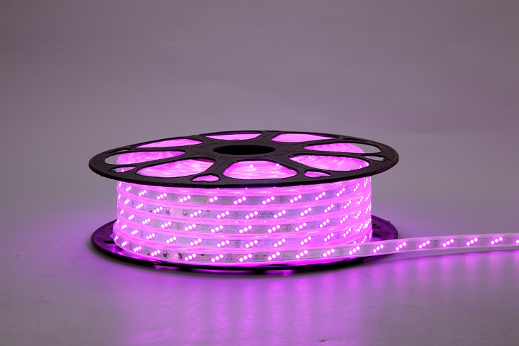 Pink Neon Rope Light