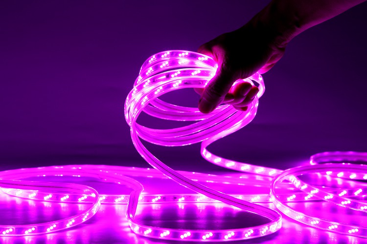 Pink Neon Rope Light