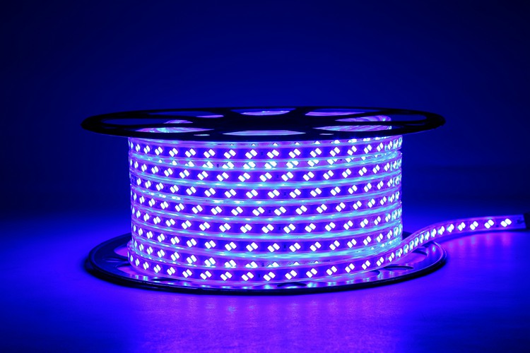 5730 120D 10MM Purple Light Strip