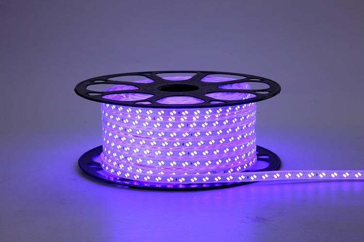 5730 120D 10MM Purple Light Strip