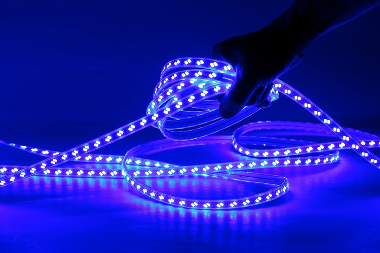 5730 120D 10MM Purple Light Strip