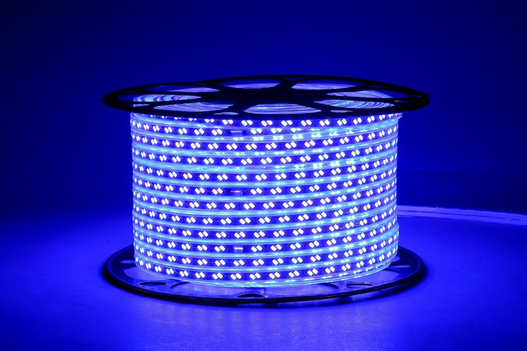 5730 120D 12MM Blue Light Strip