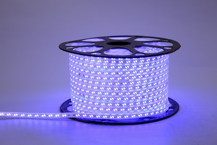 5730 120D 12MM Blue Light Strip