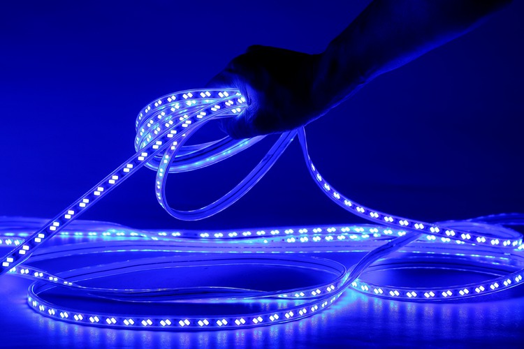 5730 120D 12MM Blue Light Strip