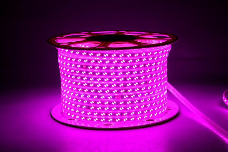 5730 120D 12MM Pink Light Strip