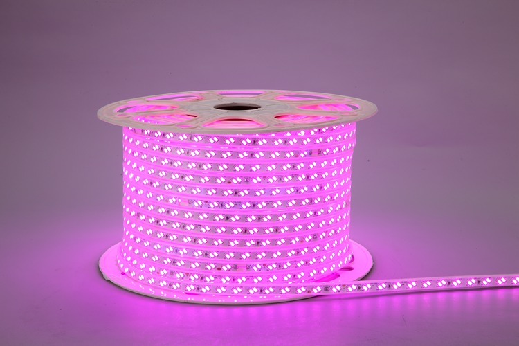 5730 120D 12MM rosa Licht Streifen
