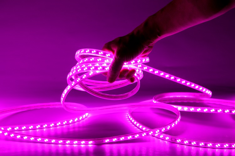 5730 120D 12MM rosa Licht Streifen