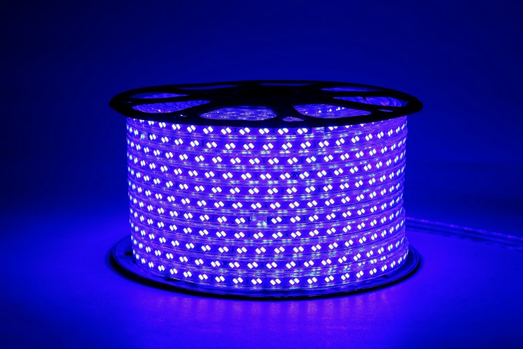 5730 120D 12MM Purple Light Strip