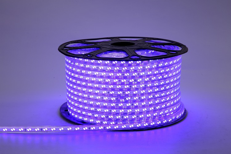 5730 120D 12MM Purple Light Strip